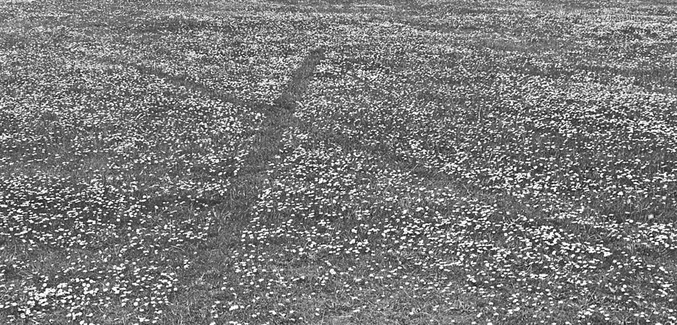 Bildschirmfoto 2016-03-09 um 02.52.33