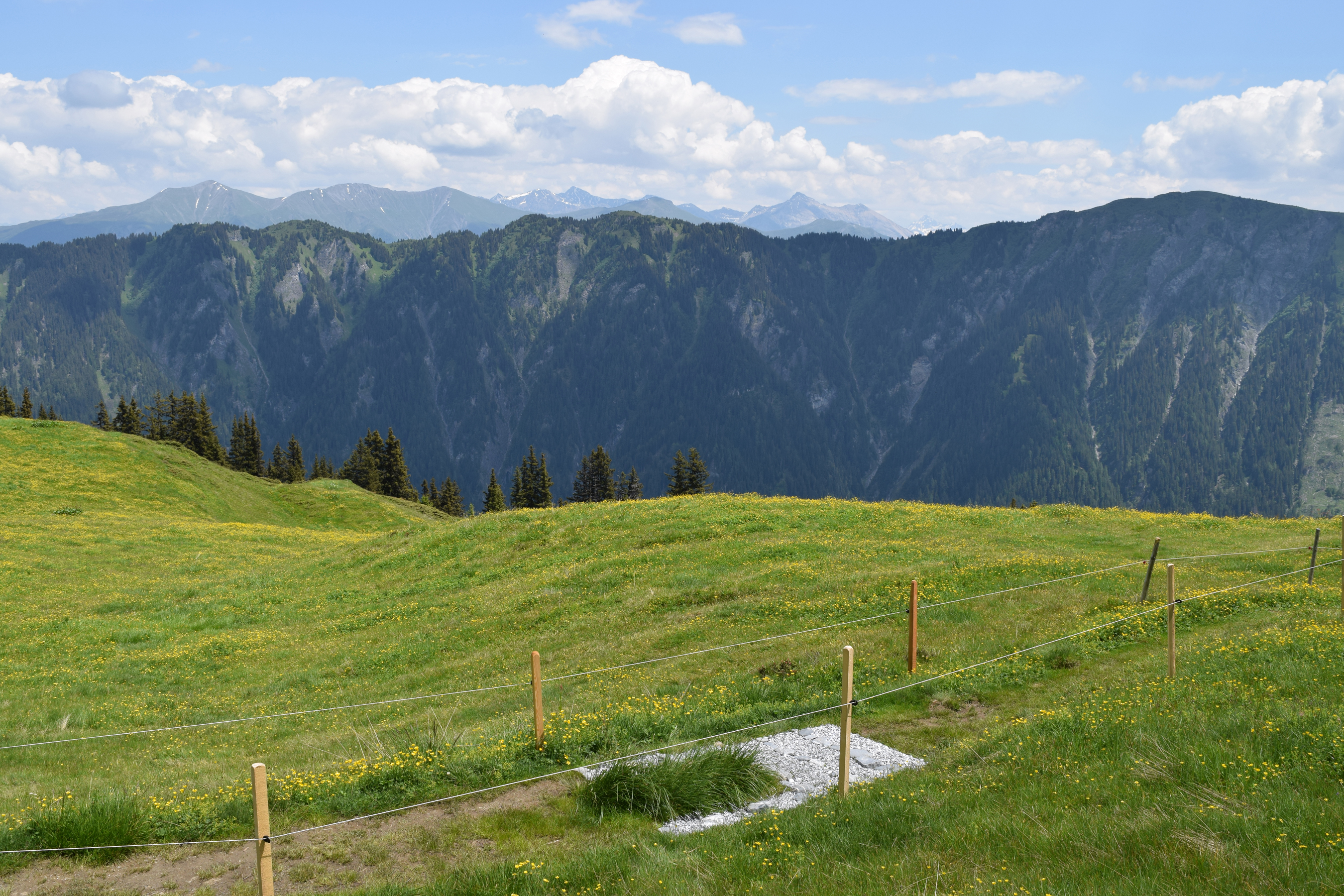 EGleason_Threshold_01_sm