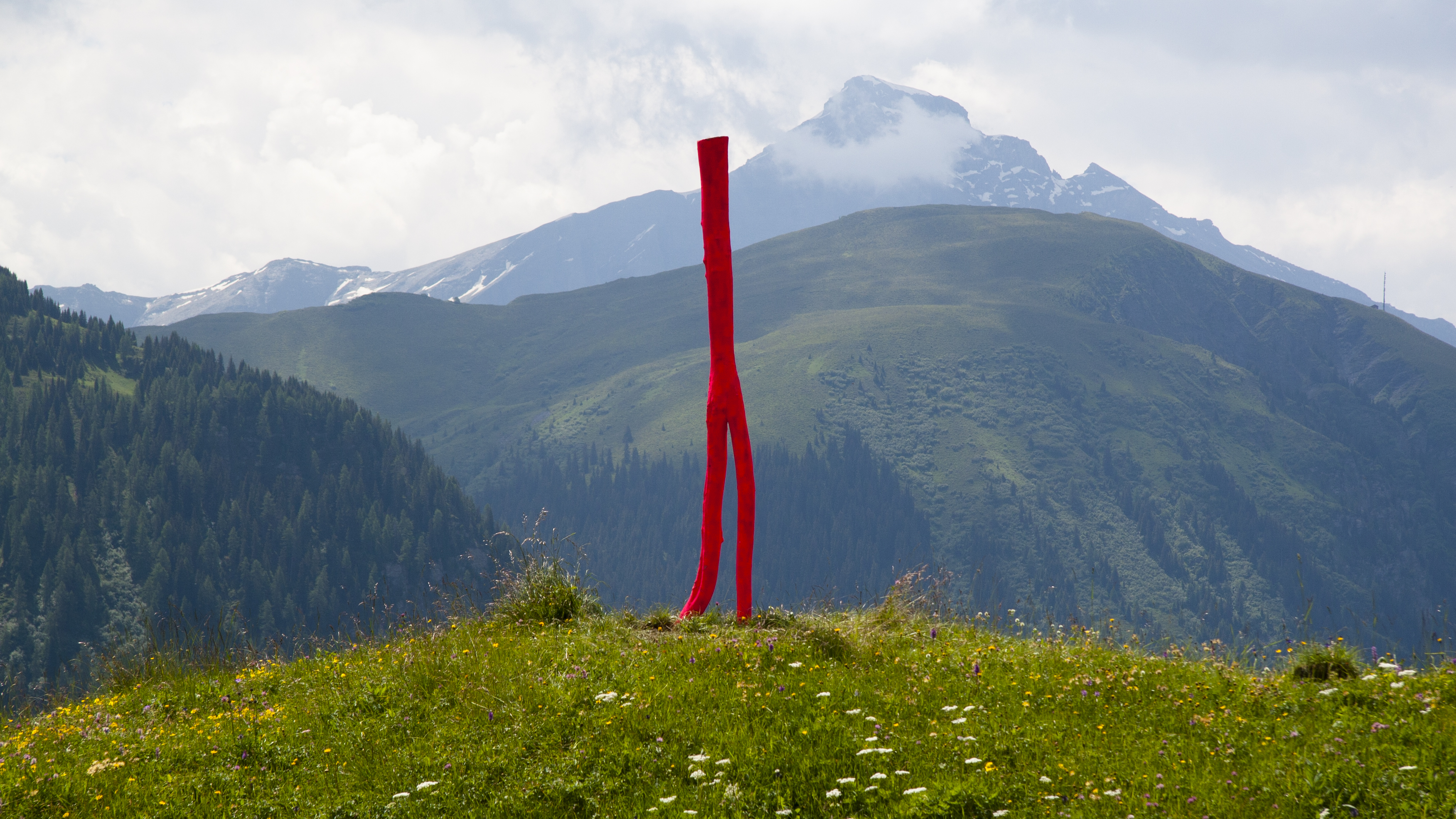 penelope_WishIwas there-7_tenna-2