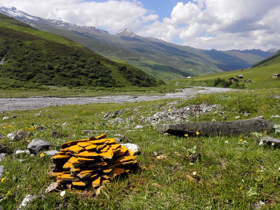 sprinkles of Turmeric