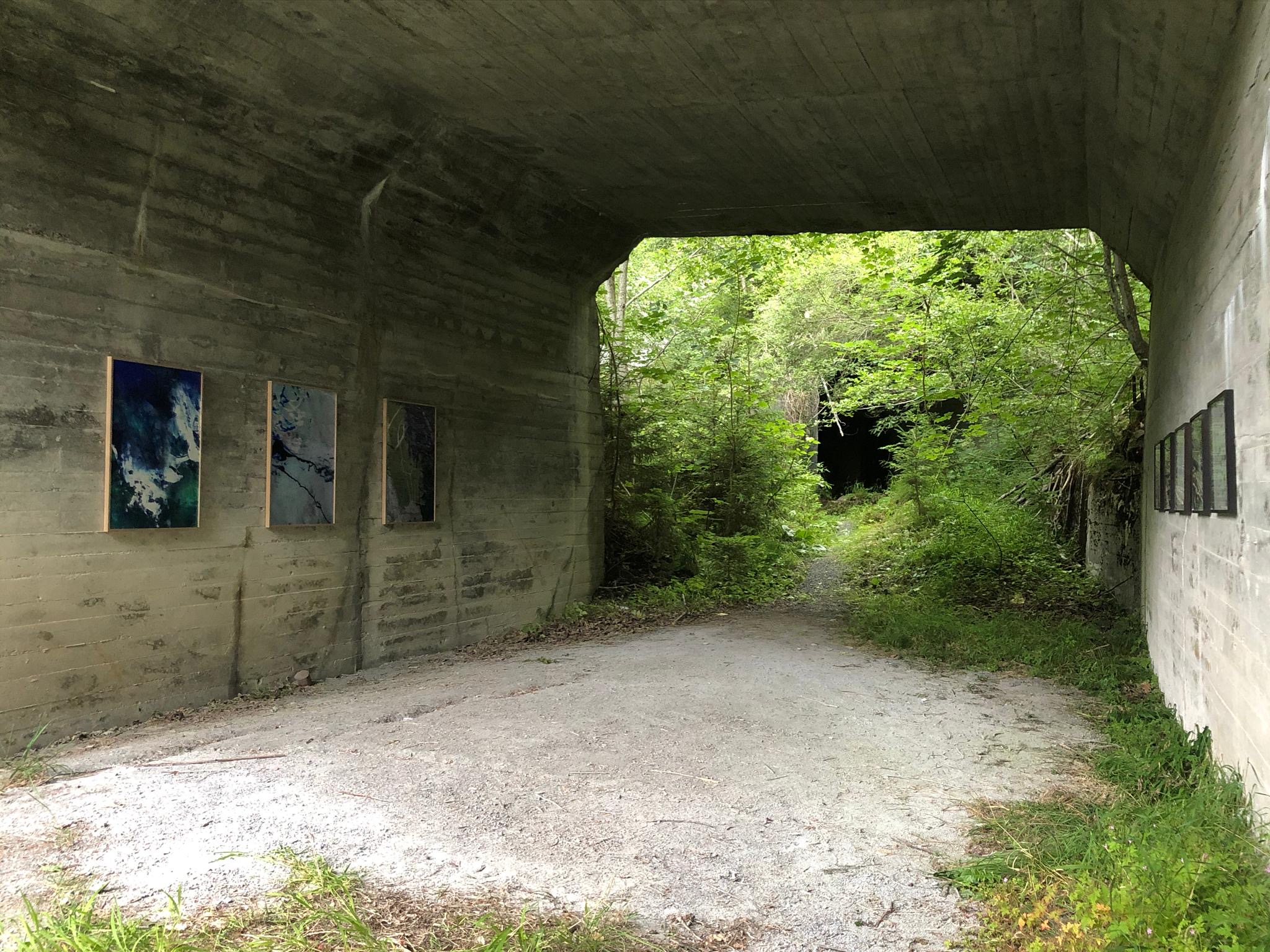 3bf2e350-8d7e-4635-b595-d29b69911416